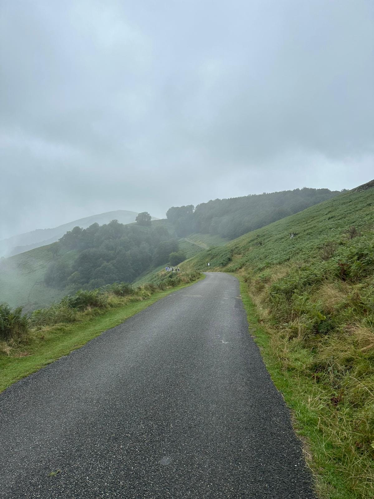 Day 1 - Saint-Jean-Pied-de-Port to Orisson