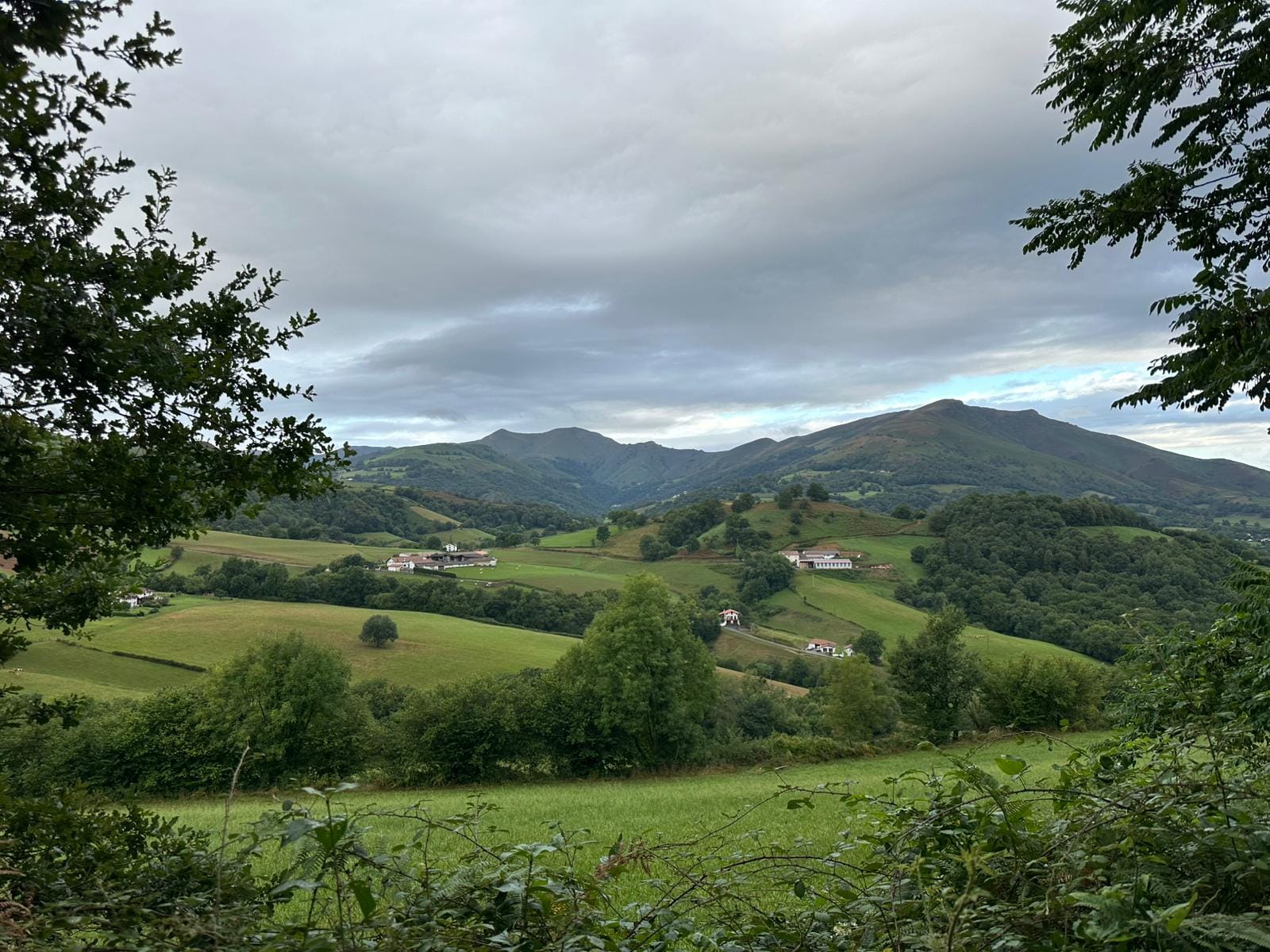 Day 1 - Saint-Jean-Pied-de-Port to Orisson