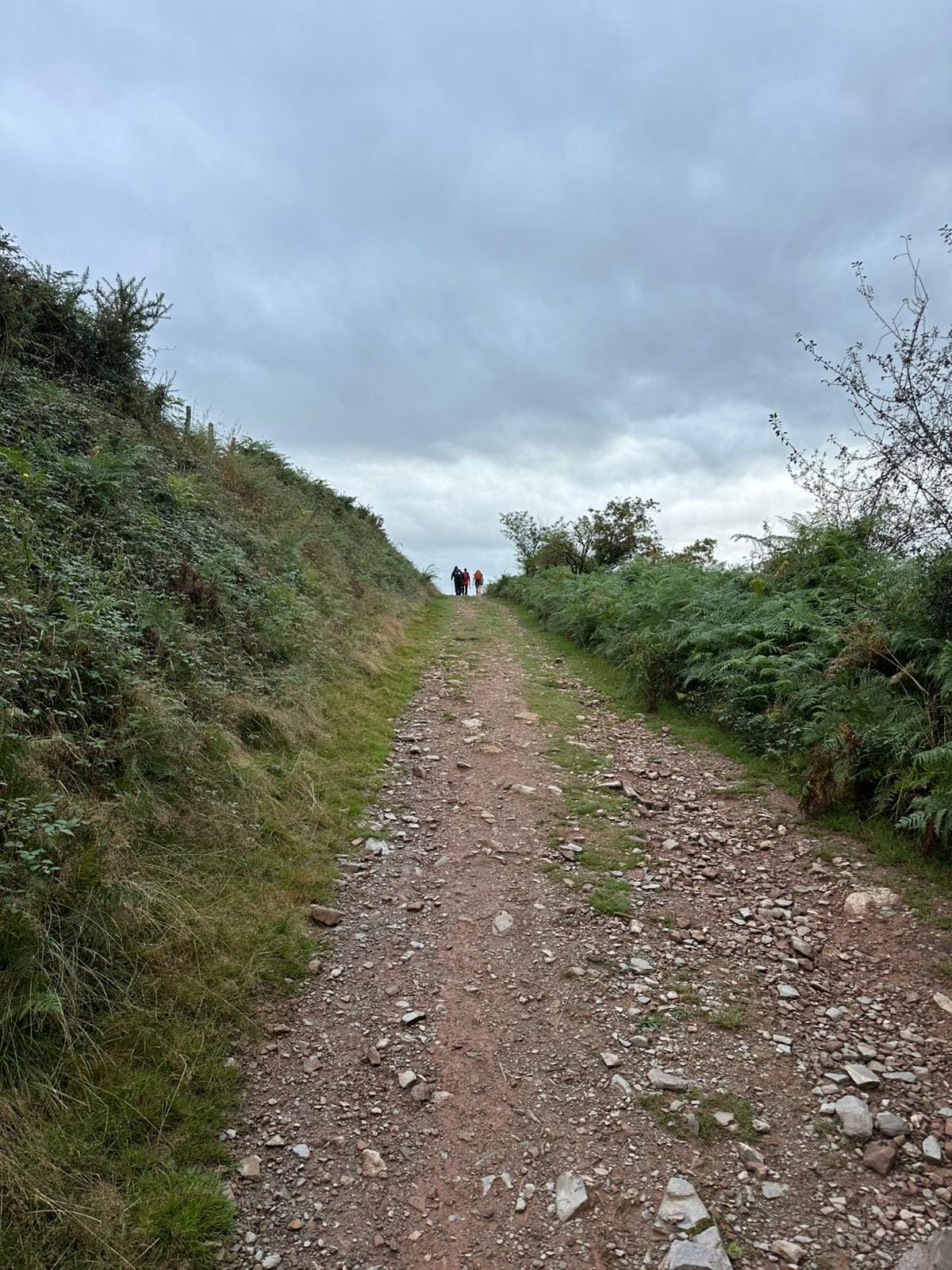 Day 1 - Saint-Jean-Pied-de-Port to Orisson