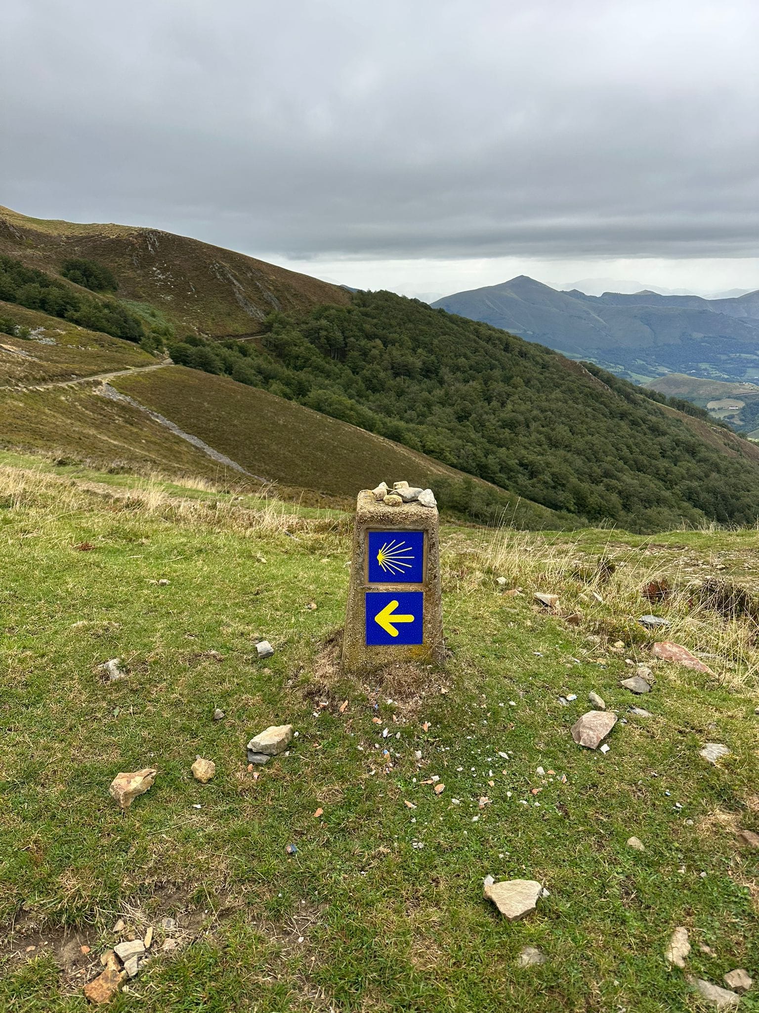 Day 2 - Orisson to Roncesvalles
