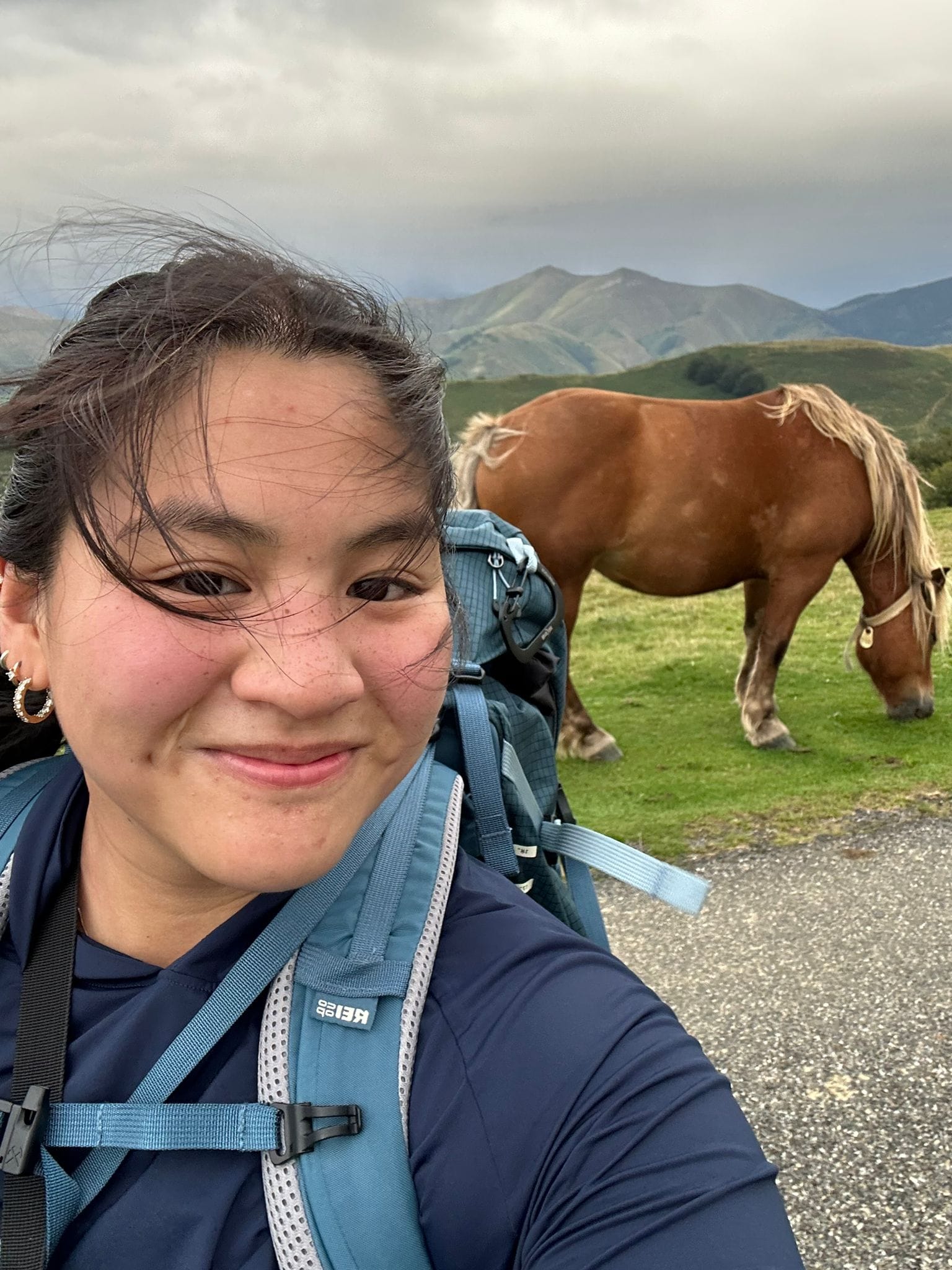 Day 2 - Orisson to Roncesvalles