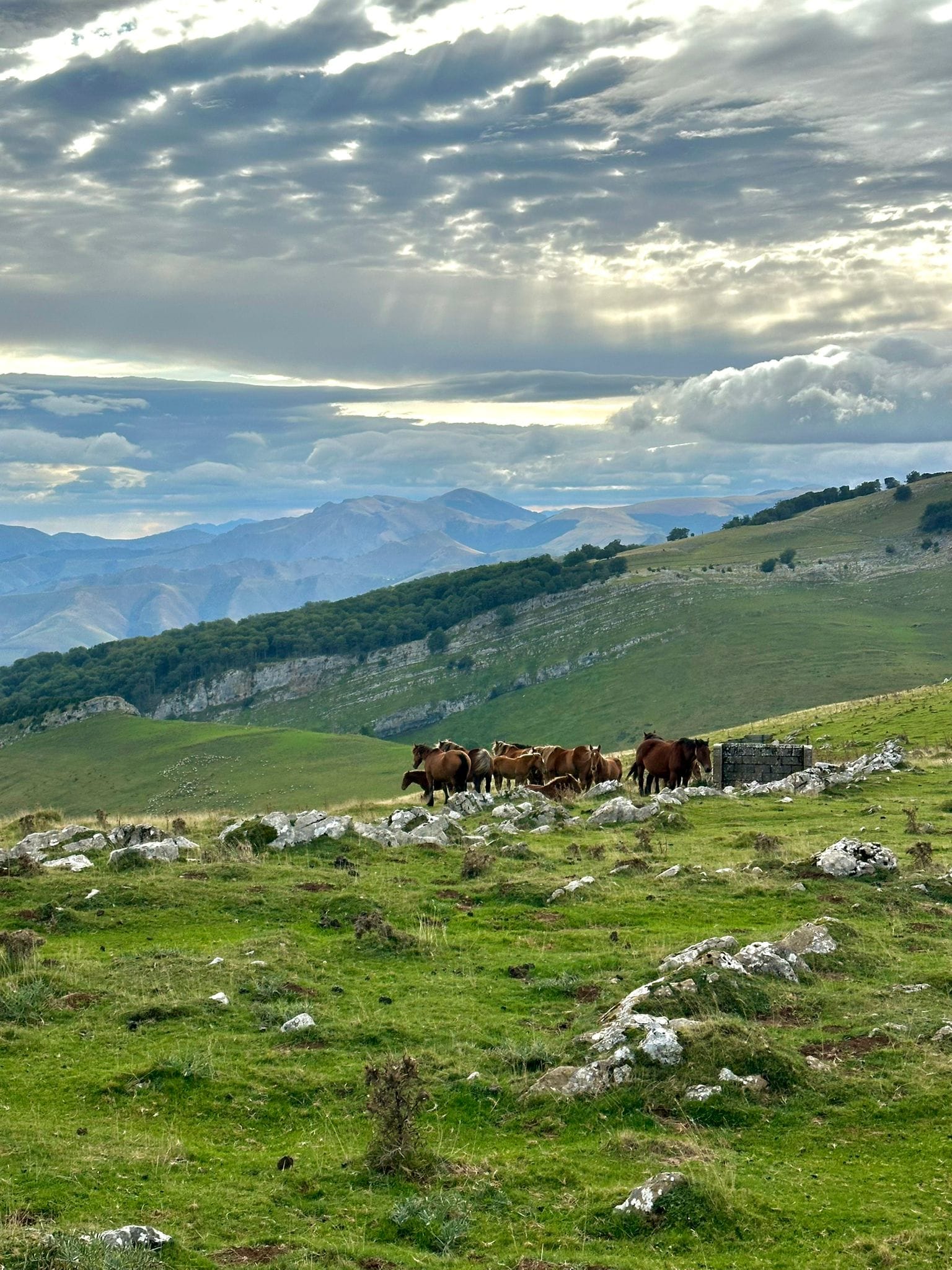 Day 2 - Orisson to Roncesvalles