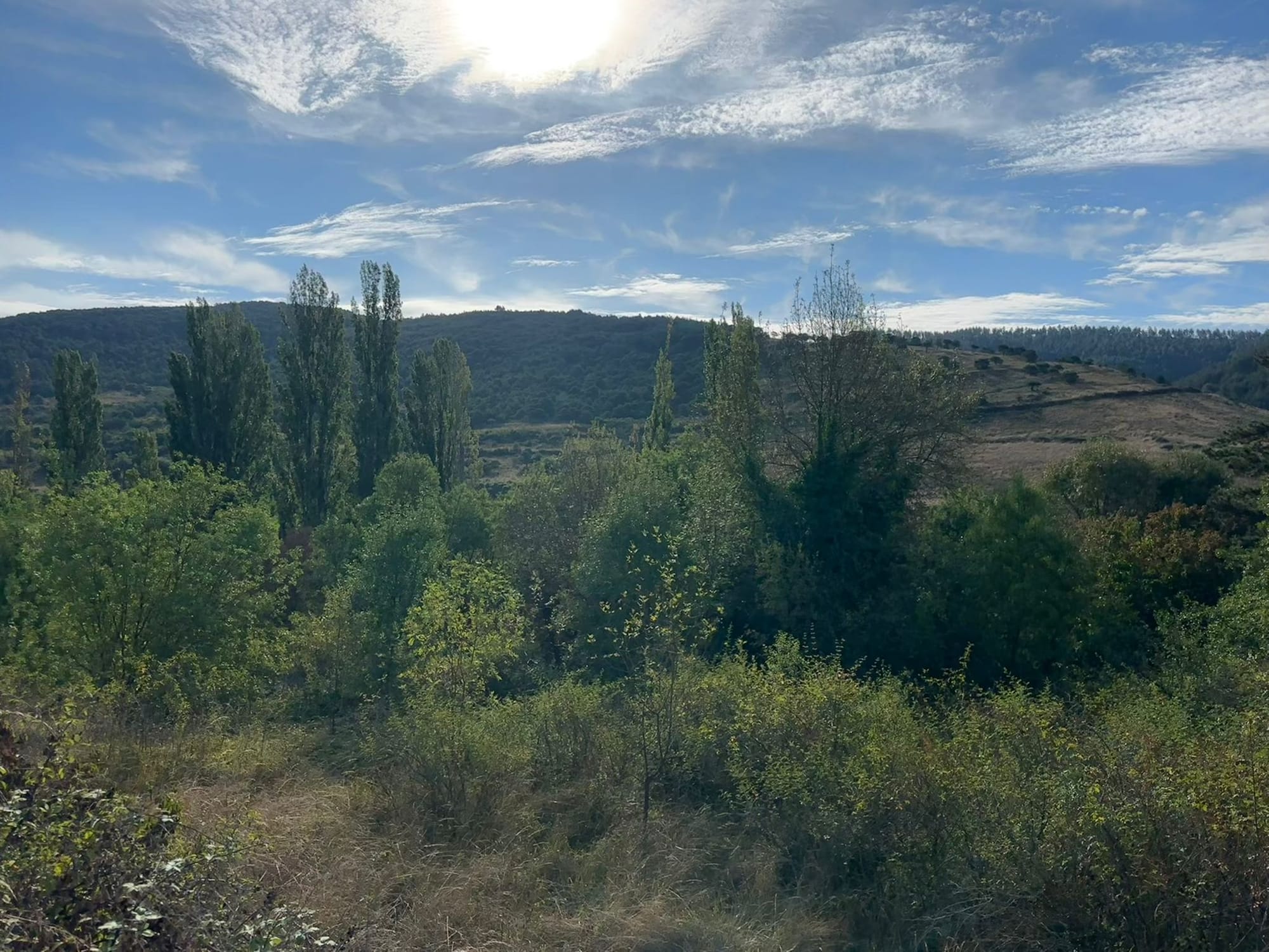 Day 4 - Zubiri to Pamplona