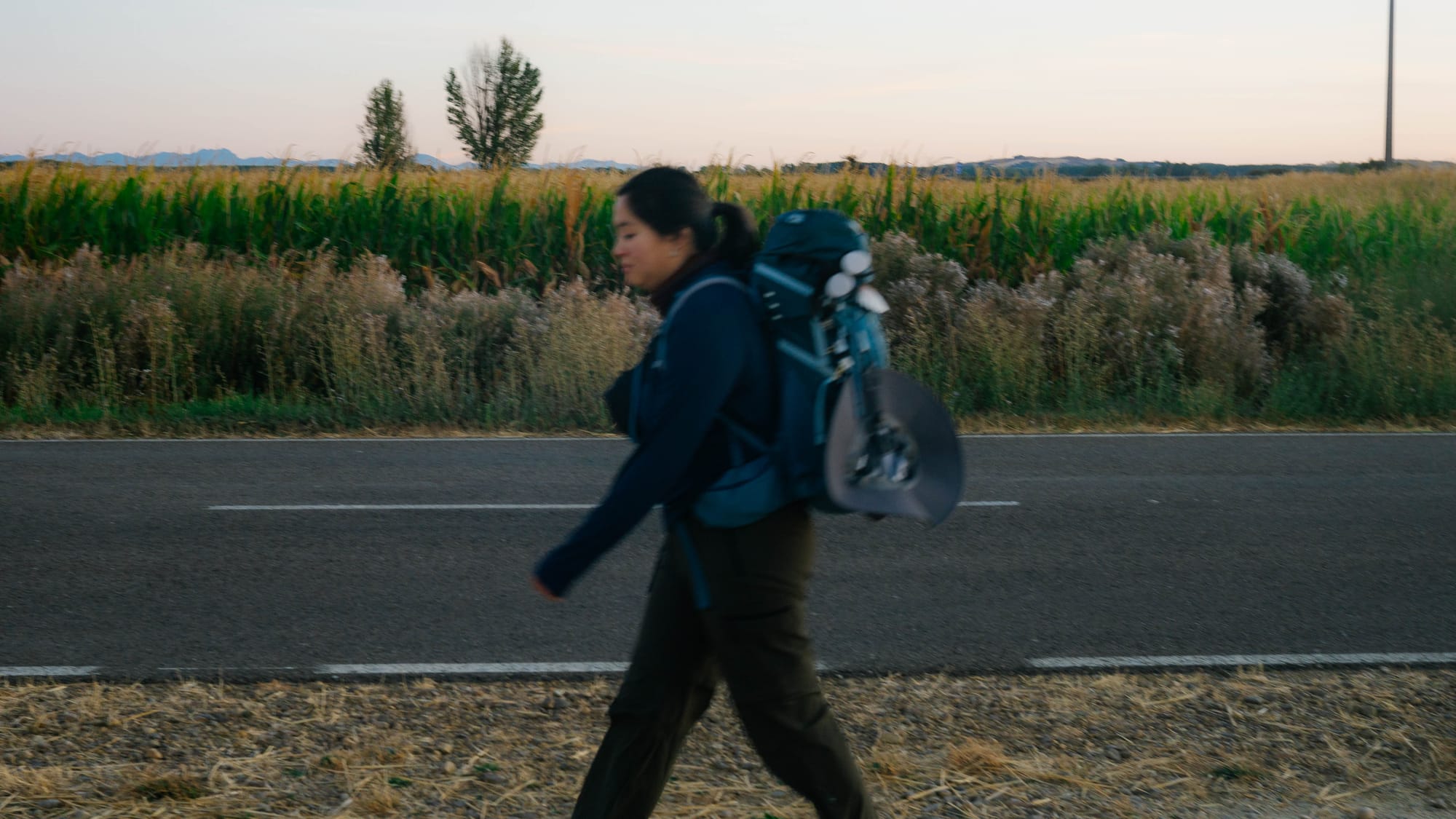 Anna's Camino