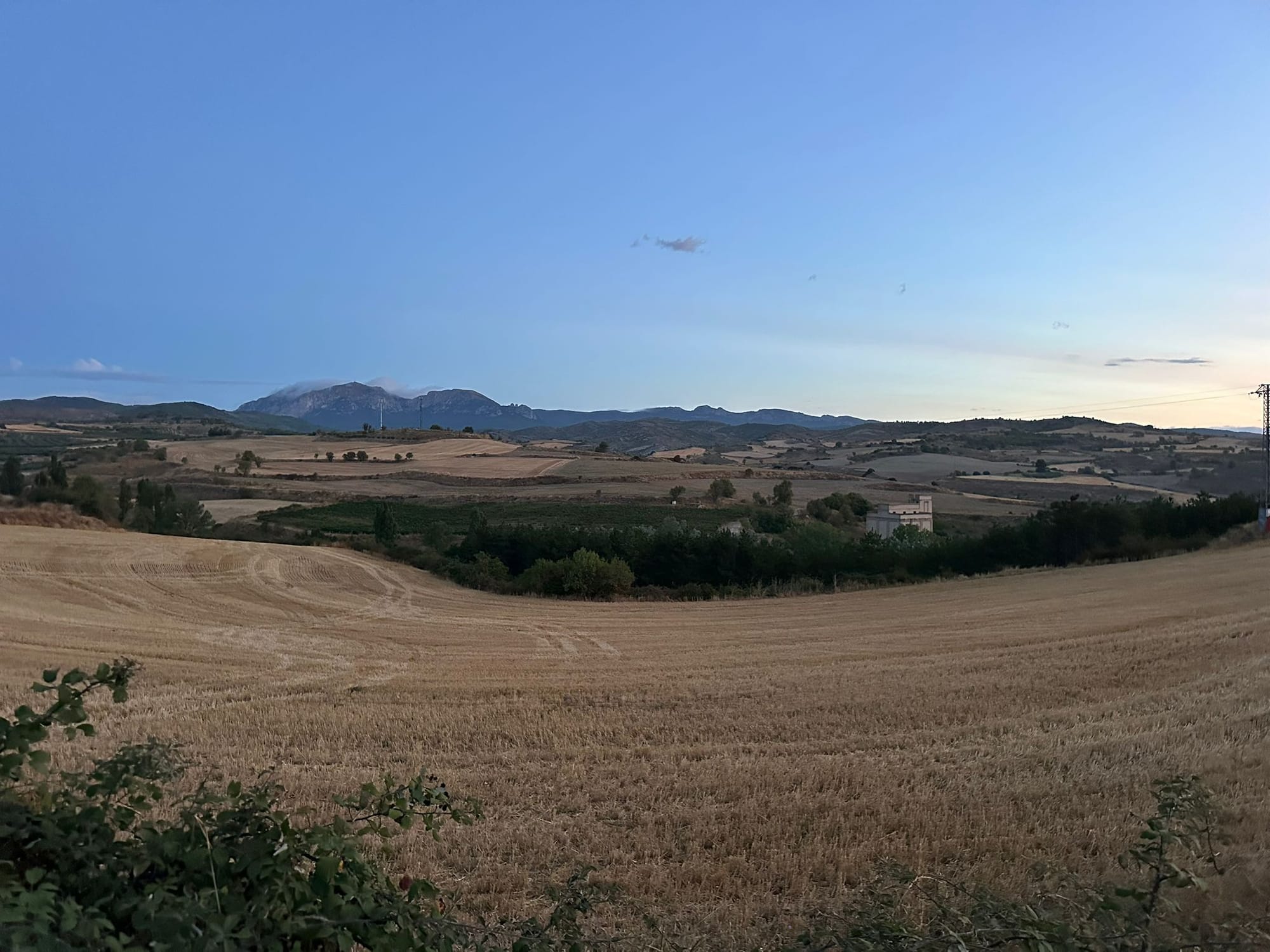 Day 8 - Torres del Río to Logroño