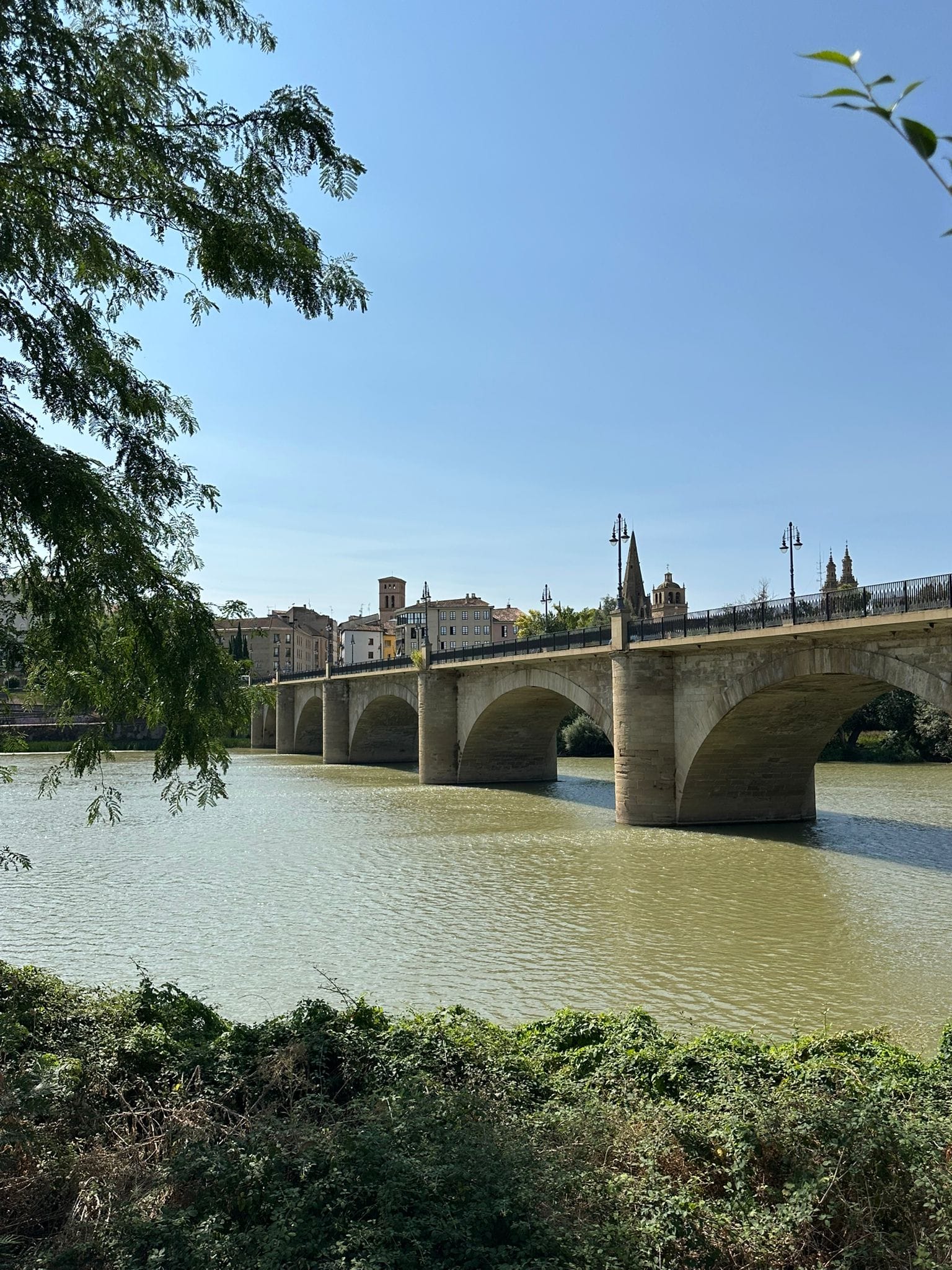 Day 8 - Torres del Río to Logroño