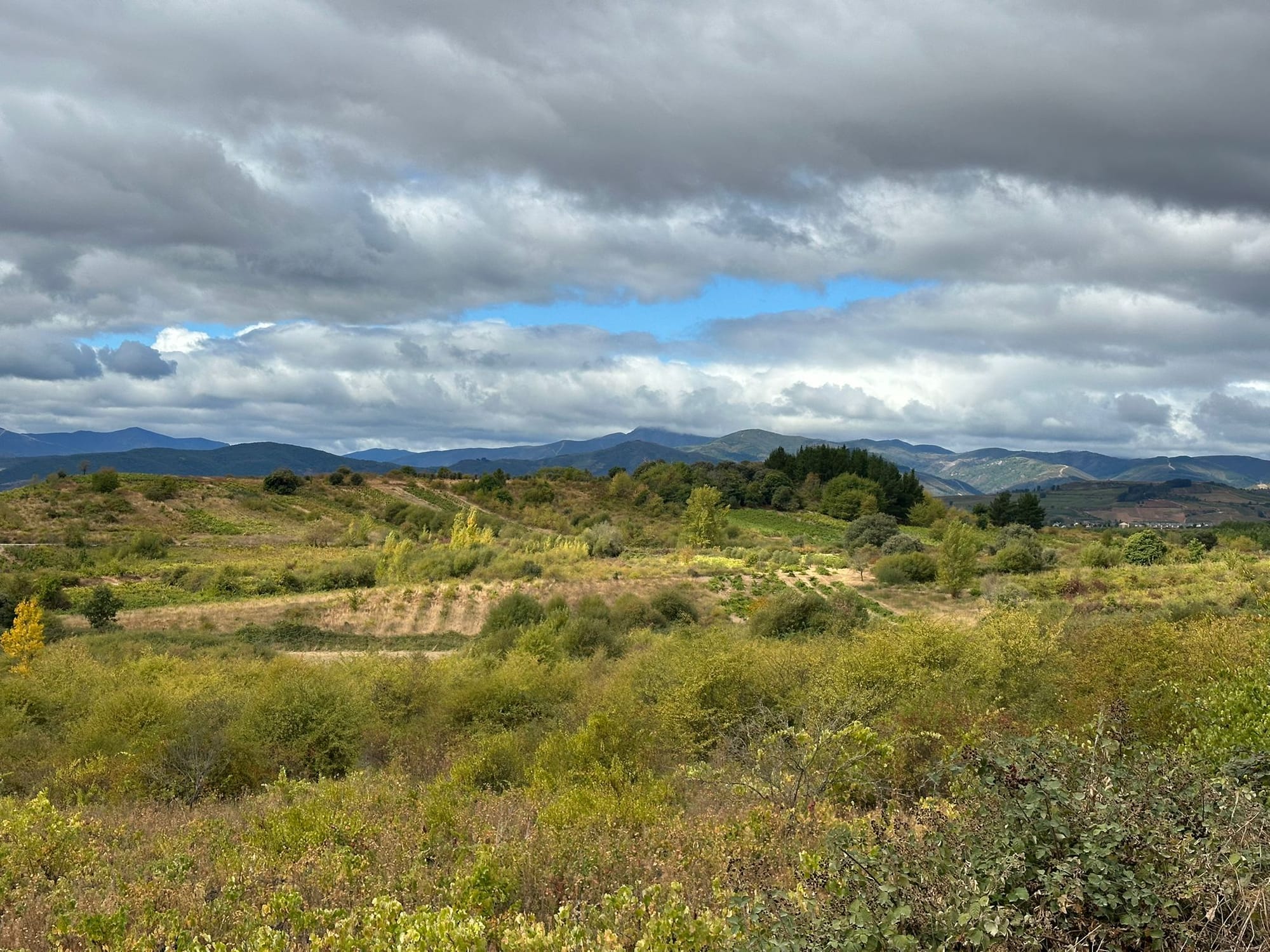 Day 26 - Molinaseca to Valtuille de Arriba