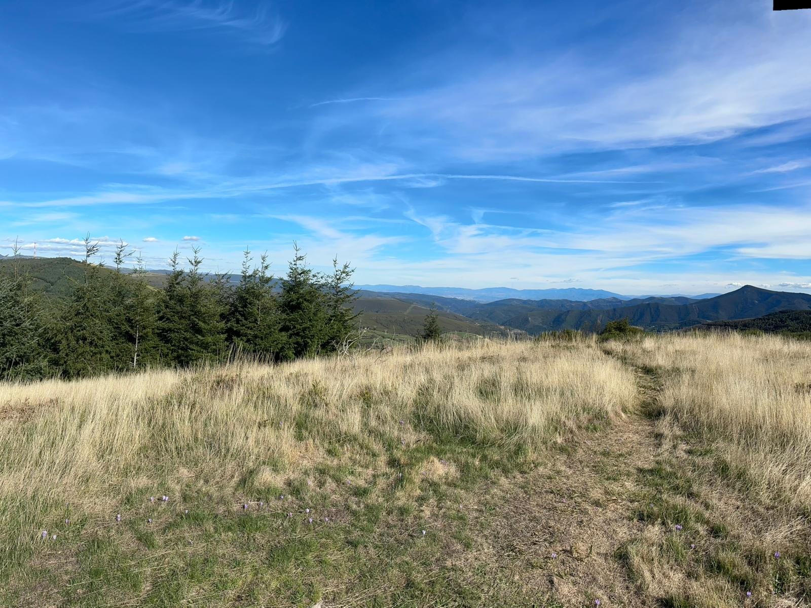 Day 28 - Trabadelo to O Cebreiro