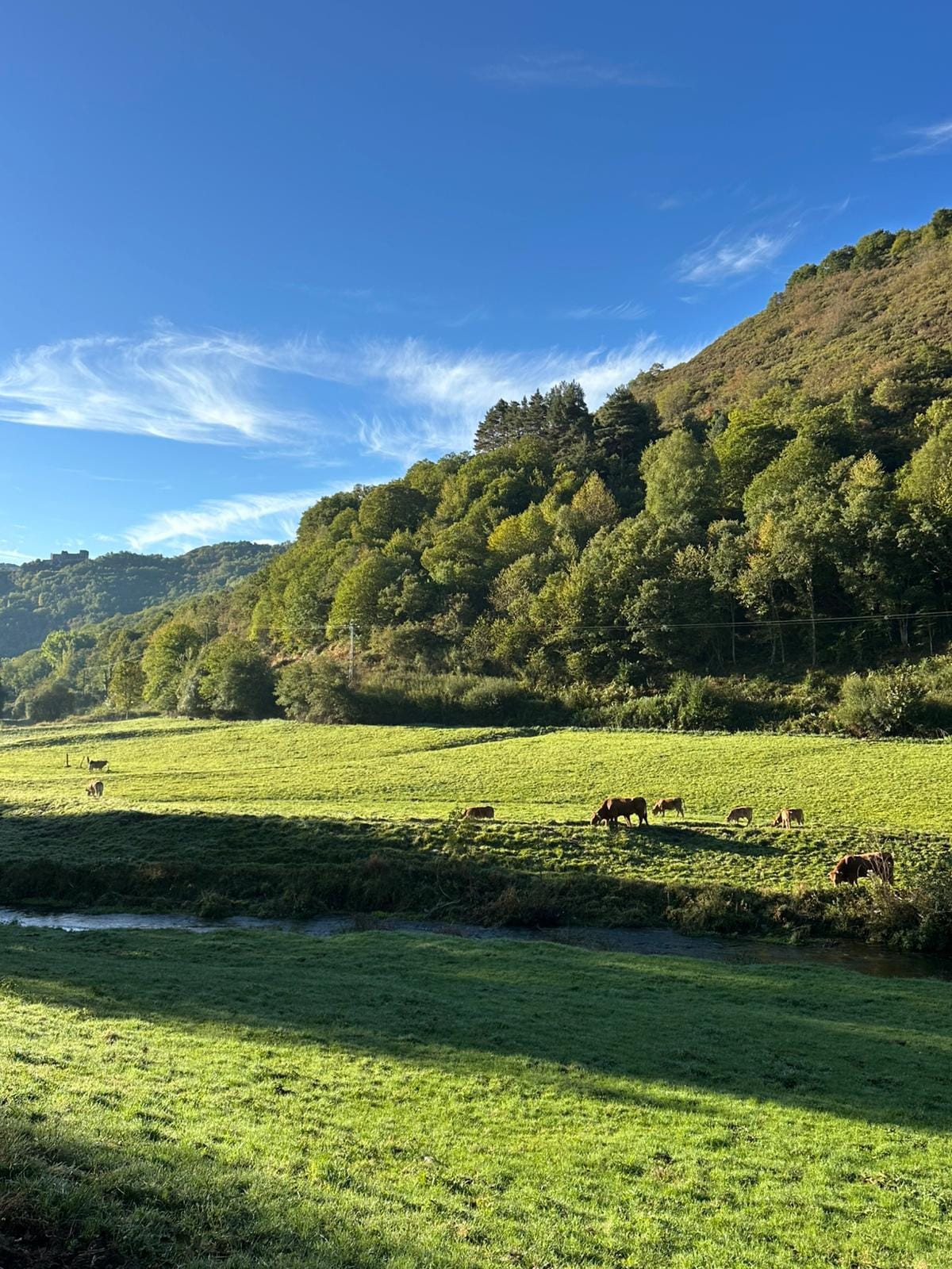 Day 28 - Trabadelo to O Cebreiro