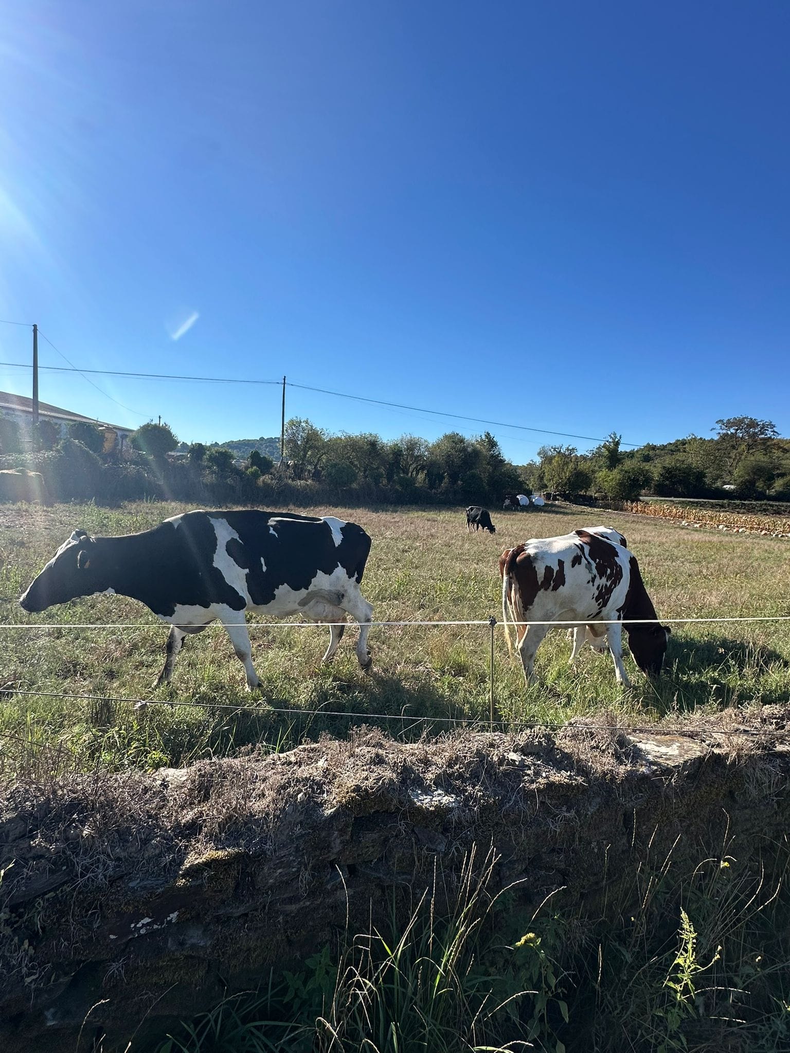 Day 30 - A Balsa to O Mosterio