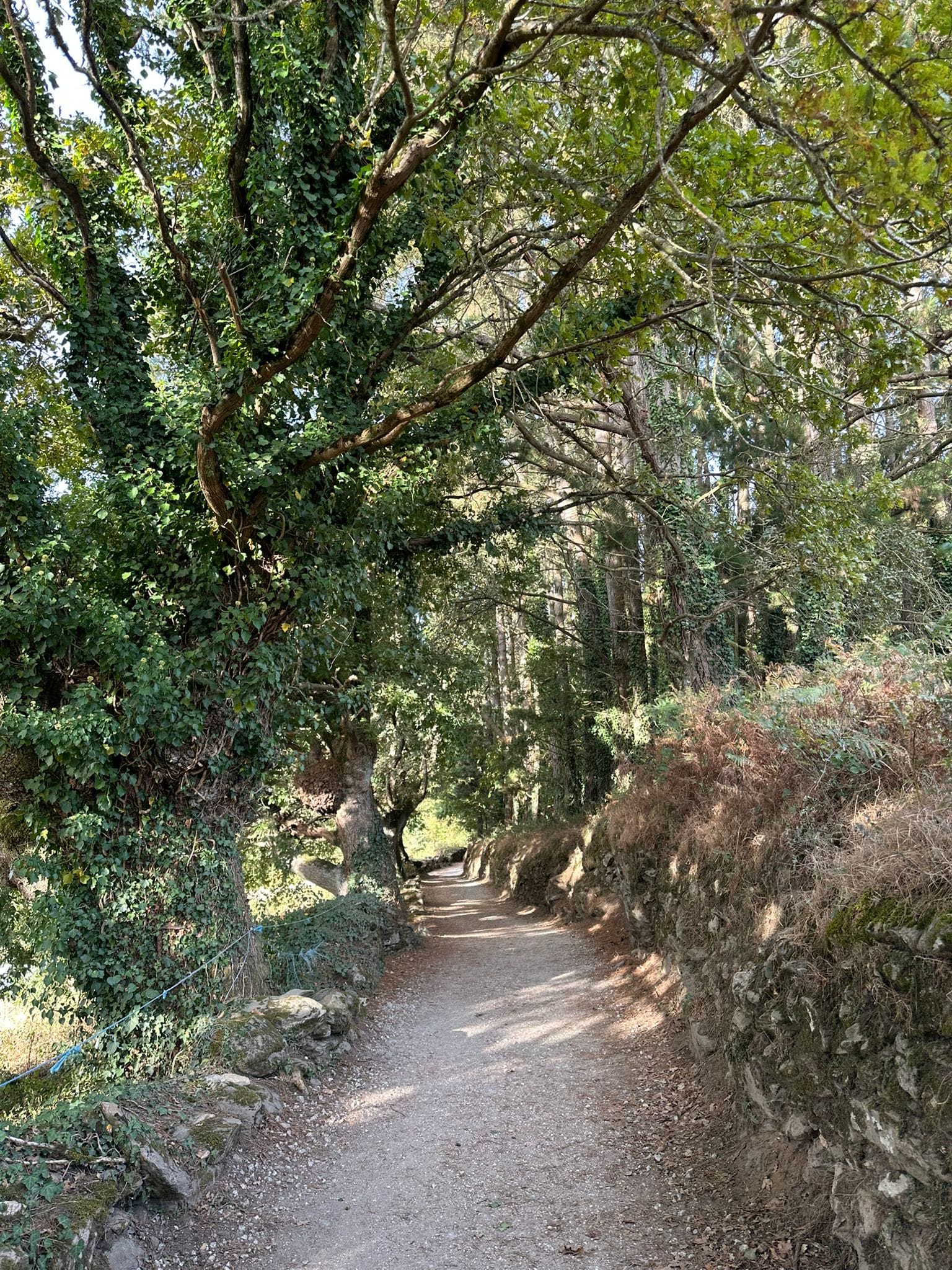 Day 31 - O Mosterio to Gonzar