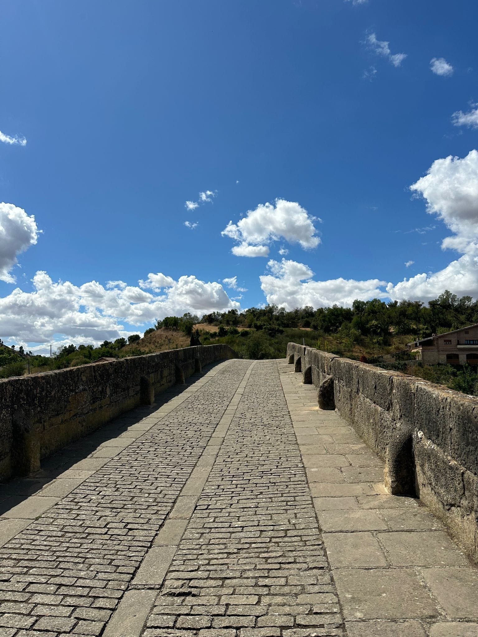 Day 5 - Pamplona to Cirauqui