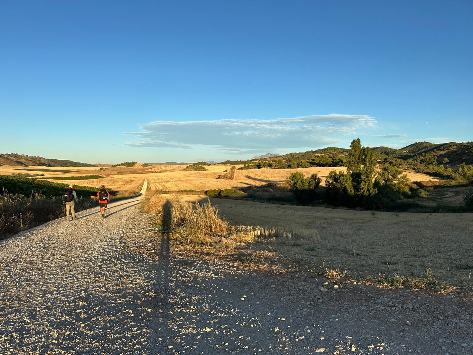 Day 7 - Villamayor de Monjardín to Torres del Río