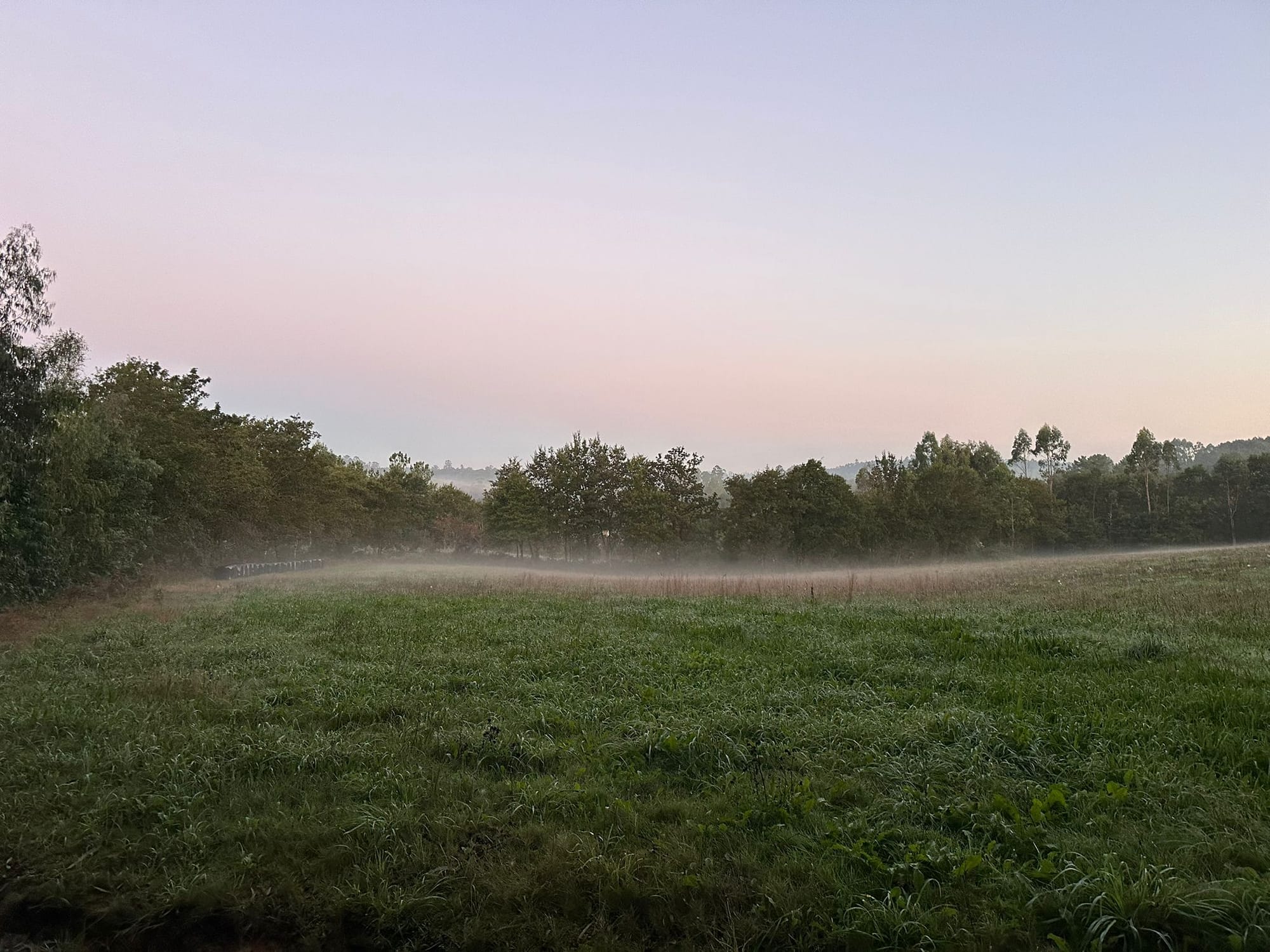 Day 34 - Ribadiso to O Amenal