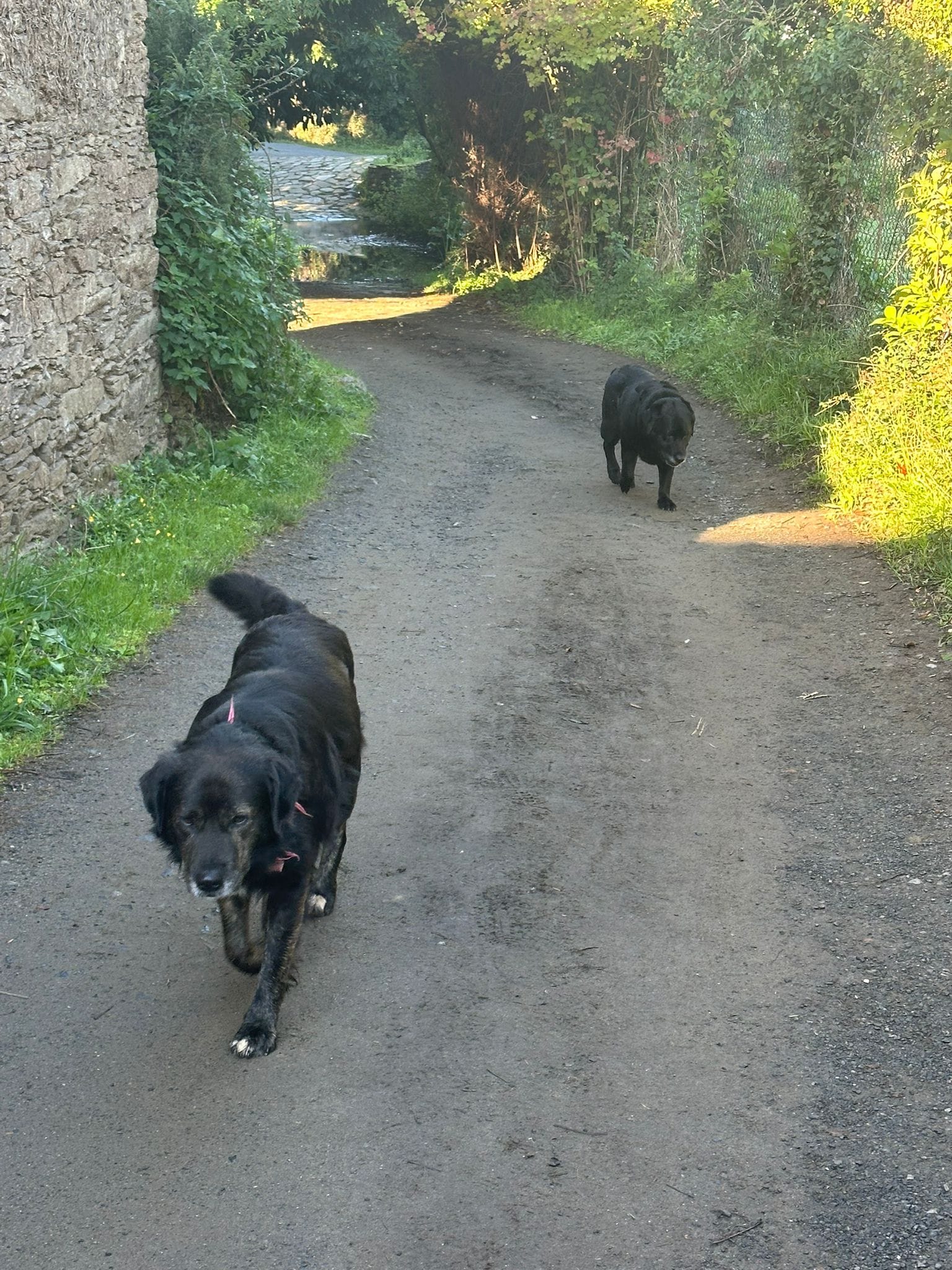 Day 34 - Ribadiso to O Amenal