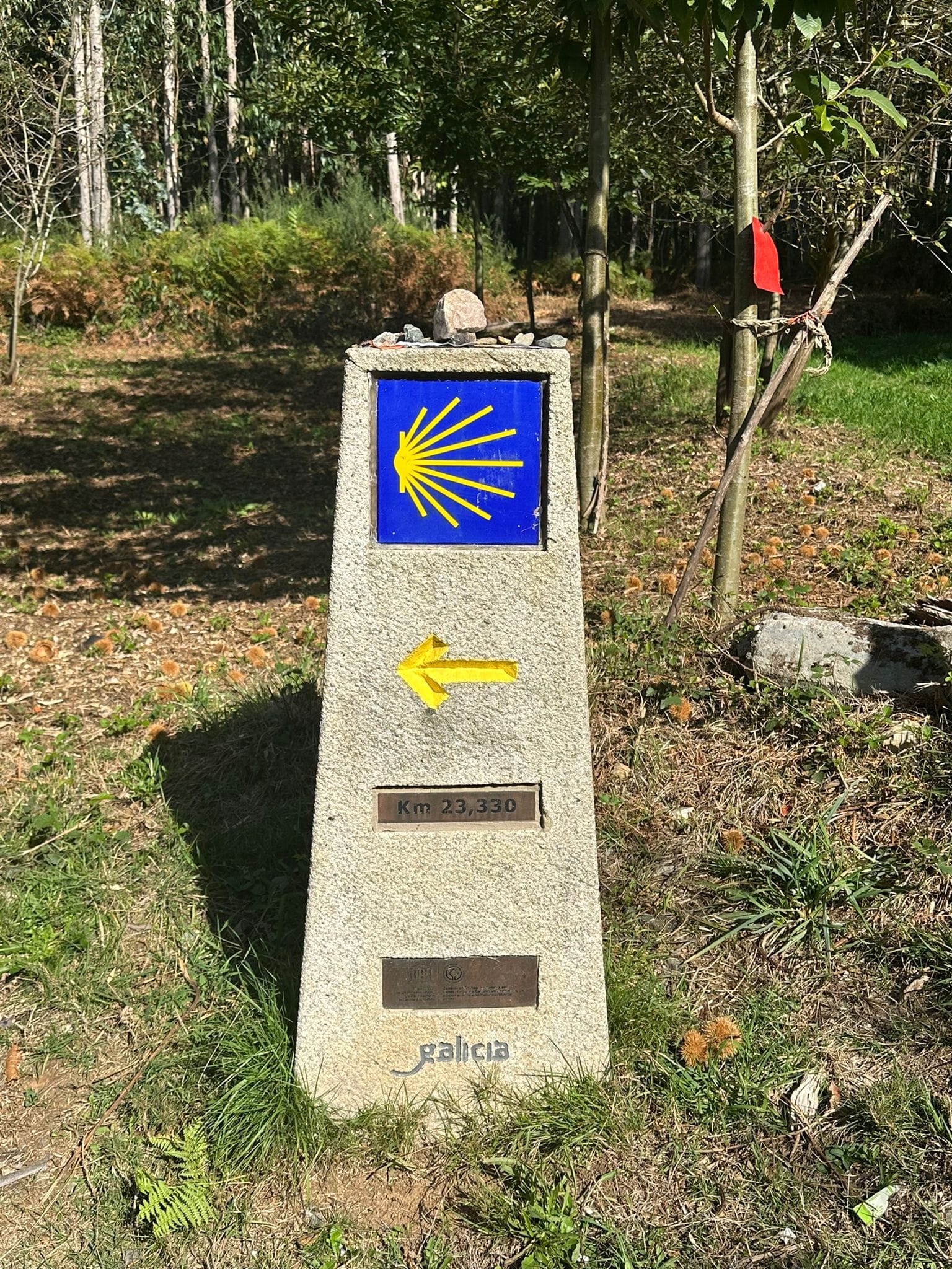 Day 34 - Ribadiso to O Amenal
