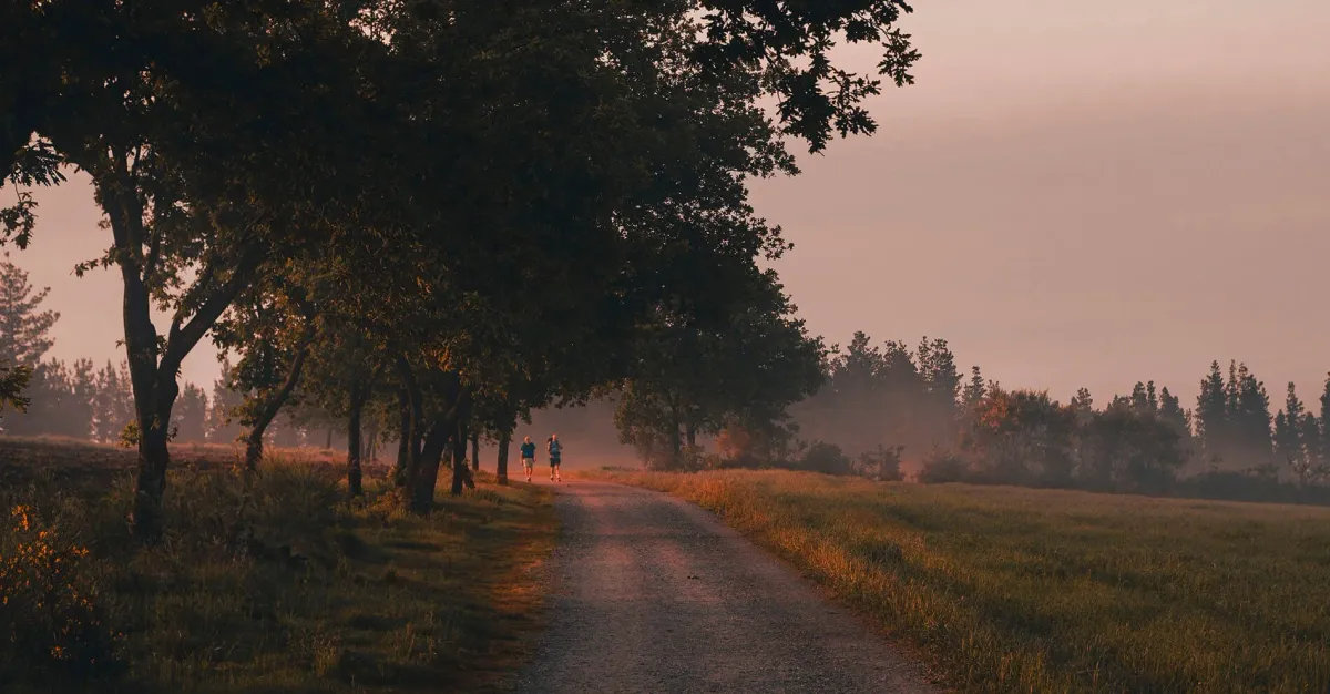 What is the Camino de Santiago?