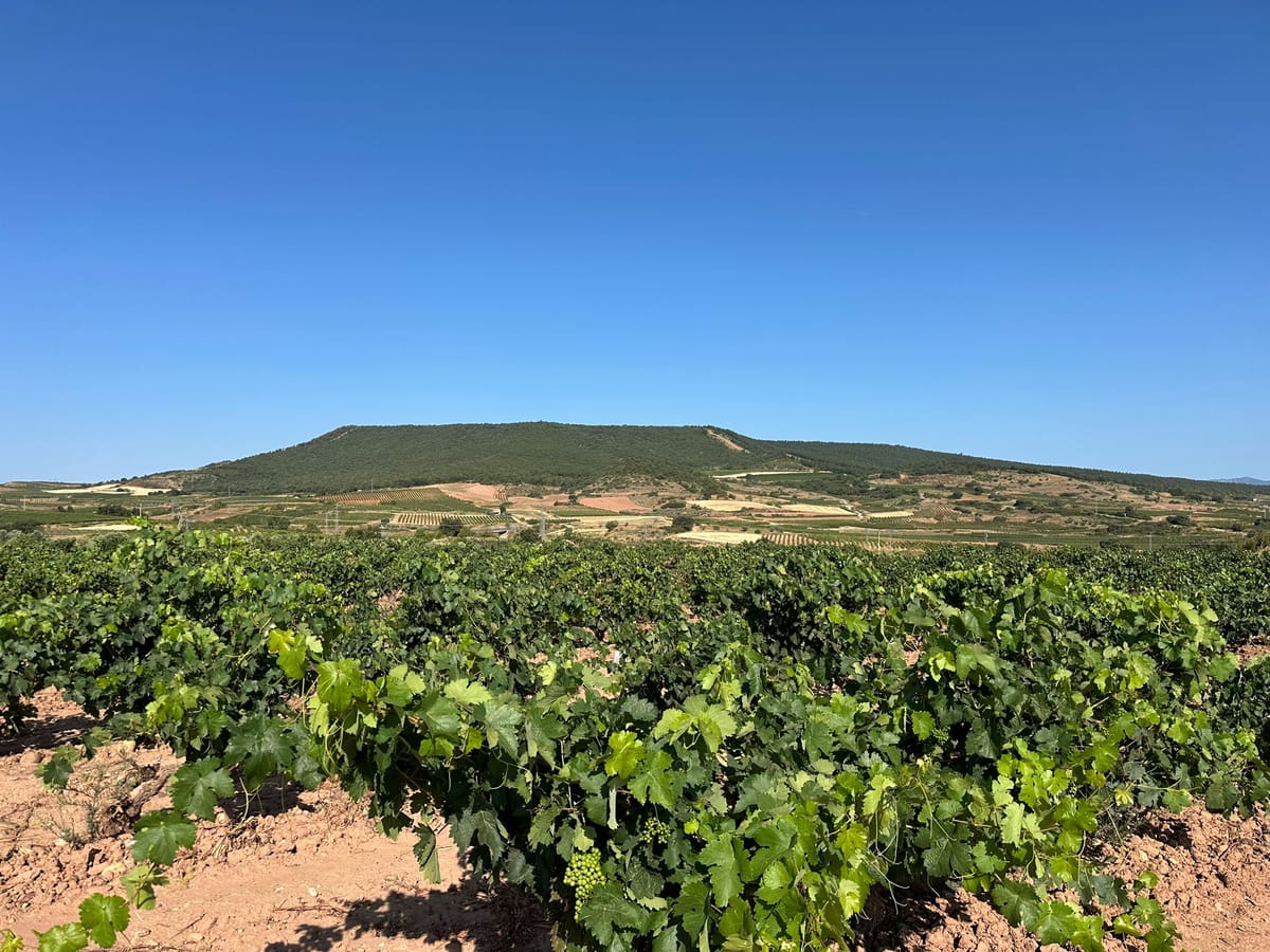 Day 9 - Logroño to Nájera
