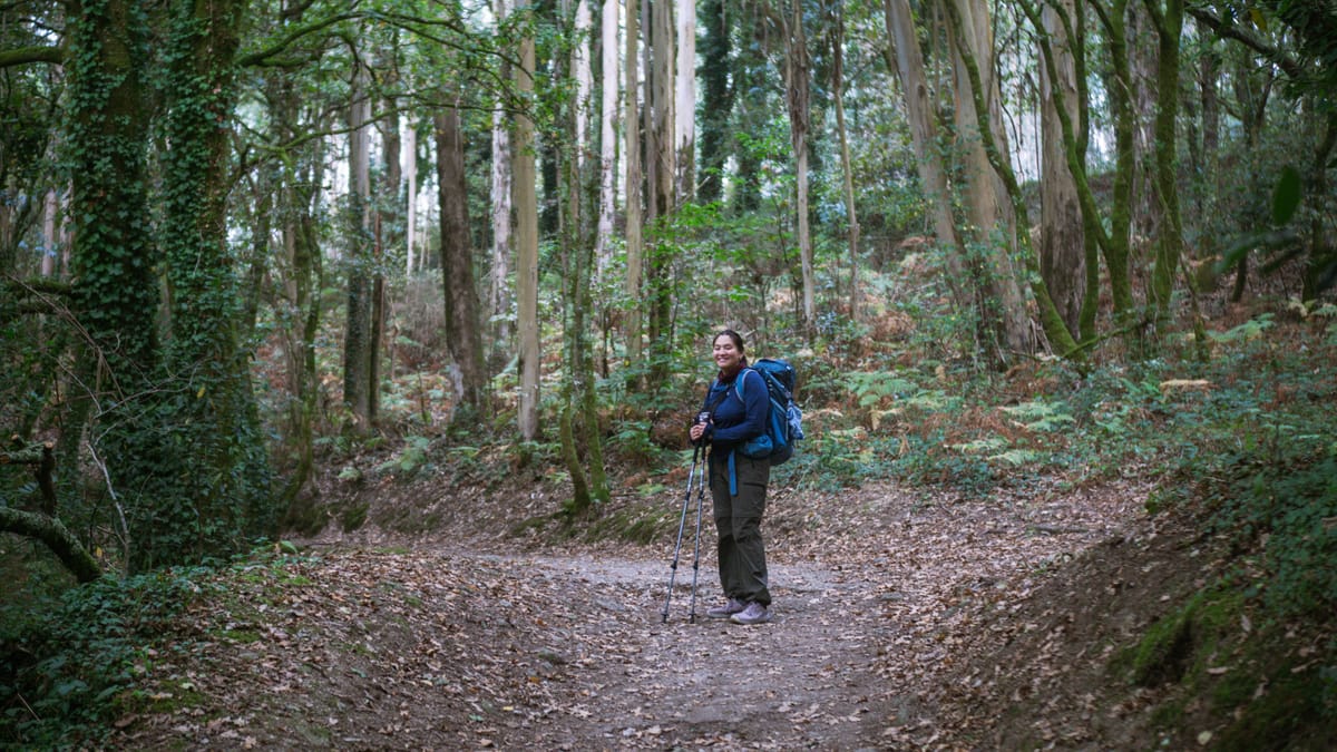 Day 36 - Santiago de Compostela to Negreira