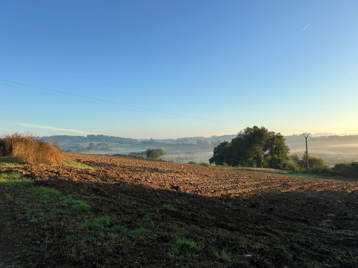 Day 34 - Ribadiso to O Amenal