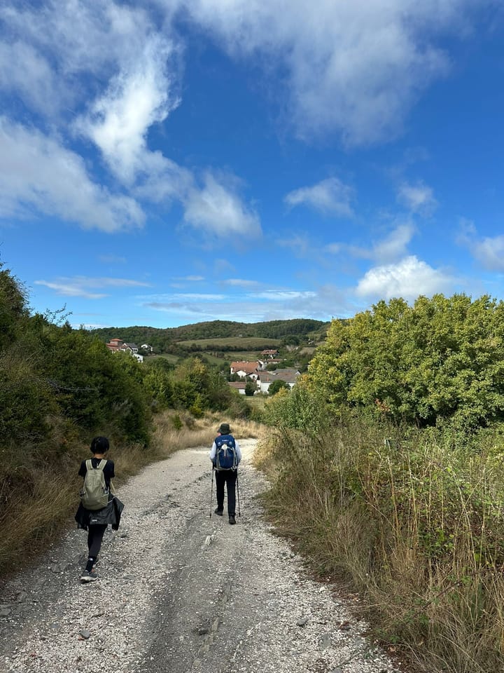 Day 3 - Roncesvalles to Zubiri