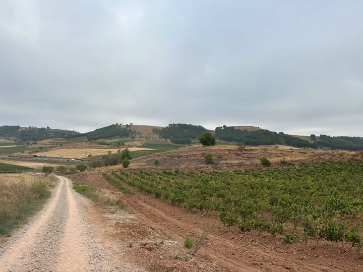 Day 10 - Nájera to Grañon