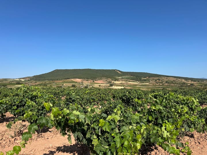 Day 9 - Logroño to Nájera