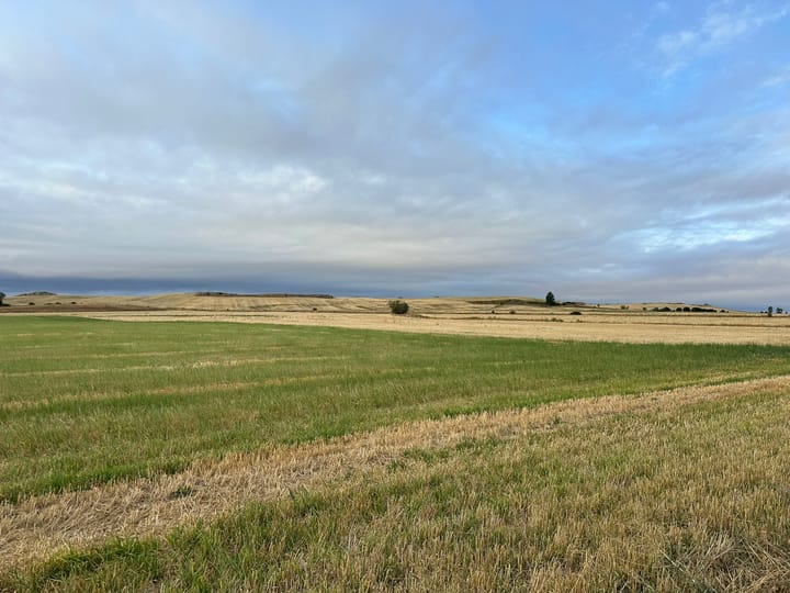 Day 16 - Hornillos del Camino to Castrojeriz