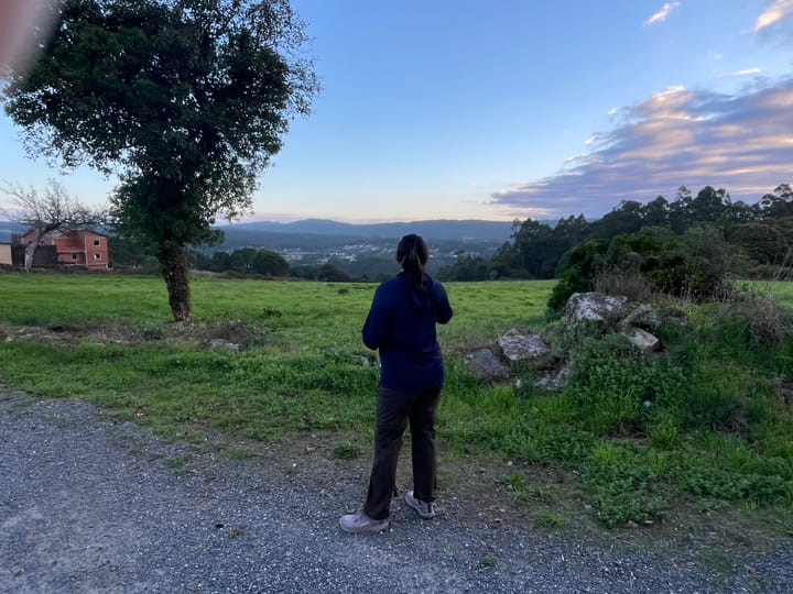 Day 37 - Negreira to Lago